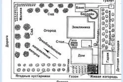 Дизайнерський ландшафт присадибної ділянки (присадибної) Дизайнерський ландшафт присадибної ділянки