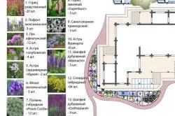 Дизайнерський ландшафт присадибної ділянки (ландшафтний дизайн поради цікаві рішення) Дизайнерський ландшафт присадибної ділянки