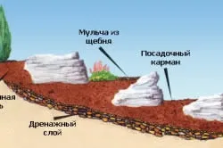 Дизайнерський ландшафт присадибної ділянки (Повернутися змісту Рада) Дизайнерський ландшафт присадибної ділянки