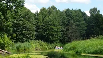 Активний відпочинок з дітьми у 2017 році (дітьми) Активний відпочинок з дітьми у 2017 році