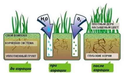 Аератор для газону, виготовлений своїми руками, аератор скарифікатор, відео