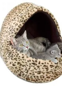 Будиночки для кошенят