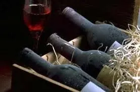 Домашнє виноградне вино, майстер