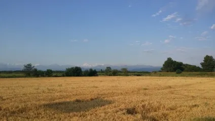 Дорога на кавказ