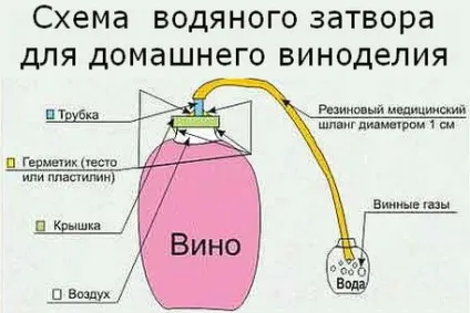 Домашнє виноградне вино, майстер