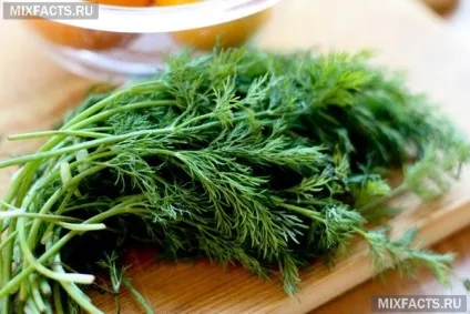 Домашня маска з кропу для особи (рецепти) (кропові маски для шкіри обличчя) Домашня маска з кропу для особи (рецепти)