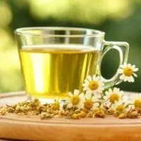 Дуоденогастральногорефлюкс - лікування народними засобами (рефлюкс) Дуоденогастральногорефлюкс - лікування народними засобами