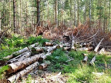 Екологічні проблемиУкаіни і які існують шляхи їх вирішення (існують) Екологічні проблемиУкаіни і які існують шляхи їх вирішення