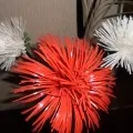 Фіксікі »з пластикових пляшок