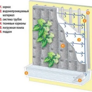 Фітостена своїми руками крок за кроком