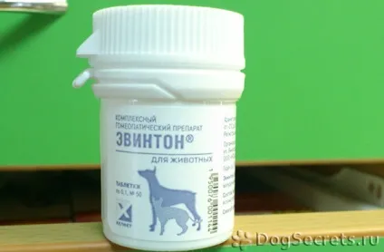 Евінтон для собак інструкція із застосування, ціна, відгуки (інструкція) Евінтон для собак інструкція із застосування, ціна, відгуки