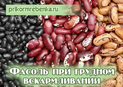 Квасоля при грудному вигодовуванні (вигодовуванні) Квасоля при грудному вигодовуванні