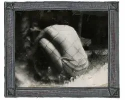 Фотобієнале 2012