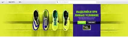 Франшиза nike (Найк)