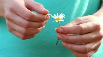 Ворожіння на трійцю і змови на захист, любов і гроші (любов) Ворожіння на трійцю і змови на захист, любов і гроші