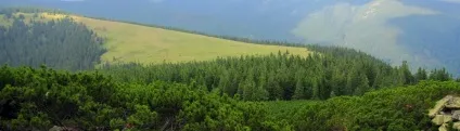 Де відпочити в Карпатах недорого і в кілька разів дешевше (недорого) Де відпочити в Карпатах недорого і в кілька разів дешевше