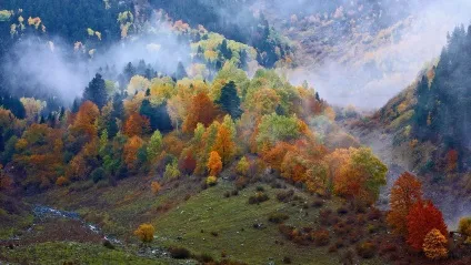 Де відпочити в Карпатах влітку і взимку (карпатах) Де відпочити в Карпатах влітку і взимку