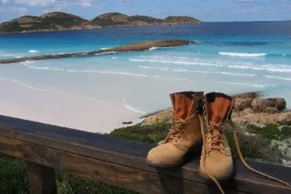 Gap year