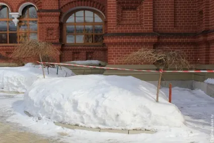 Гетсиманський чернігівський cкіт