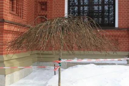 Гетсиманський чернігівський cкіт