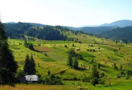 Де відпочити в Карпатах недорого і в кілька разів дешевше (дешевше) Де відпочити в Карпатах недорого і в кілька разів дешевше