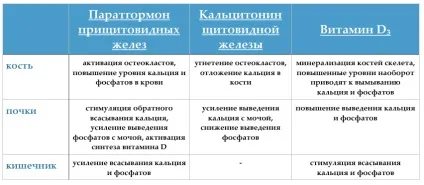 Гипокальциемия симптоми, причини гипокальциемии у дітей і дорослих, лікування гіпокальціємії (гіпокальціємія) Гипокальциемия симптоми, причини гипокальциемии у дітей і дорослих, лікування гіпокальціємії