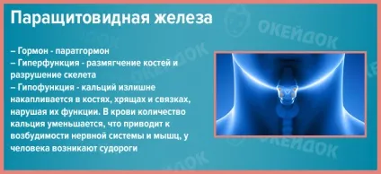 Гипокальциемия симптоми, причини гипокальциемии у дітей і дорослих, лікування гіпокальціємії (причини) Гипокальциемия симптоми, причини гипокальциемии у дітей і дорослих, лікування гіпокальціємії
