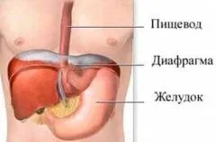 грижа стравоходу