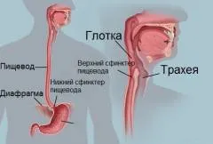 грижа стравоходу