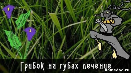 Грибок на губах лікування - ротова порожнина - лікування хвороб - народні рецепти - namedne - (лікування) Грибок на губах лікування - ротова порожнина - лікування хвороб - народні рецепти - namedne -