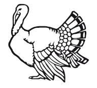 Інфекційний синусит індиків