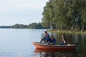 Цікаві і смішні факти (перед червоним сигналом світлофора) Цікаві і смішні факти