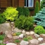 Альпійська гірка своїми руками покрокове фото, схеми на дачі (фото) Альпійська гірка своїми руками покрокове фото, схеми на дачі