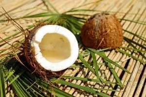 Іспольованія кокосового масла в масажі - корисні свойст (більше підійде рафінована) Іспольованія кокосового масла в масажі - корисні свойст