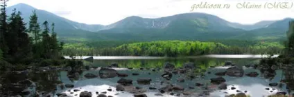 Історія породи мейн кун (Завдяки суворого клімату) Історія породи мейн кун