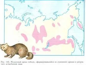 Ізоляція - еволюційний фактор (еволюційний) Ізоляція - еволюційний фактор