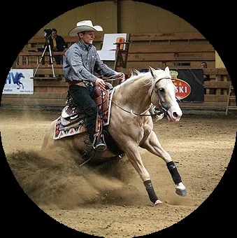 Яка ви кінь