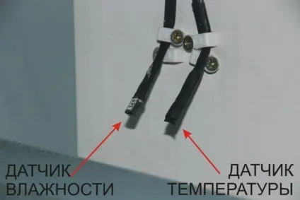 Яка вологість повітря повинна бути в інкубаторі як підвищити, регулятор і вимірювач вологості (регулятор) Яка вологість повітря повинна бути в інкубаторі як підвищити, регулятор і вимірювач вологості