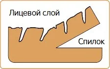 Які бувають види шкіри