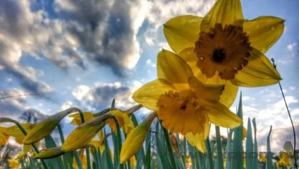 Як фотографує камера htc 10 (фото), android новини, огляди, інструкції і шпалери на android (фото) Як фотографує камера htc 10 (фото), android новини, огляди, інструкції і шпалери на android