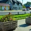 Як позбутися від повитиці в городі, expertoza