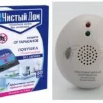 Як позбутися від мурашок в будинку назавжди в домашніх умовах (назавжди) Як позбутися від мурашок в будинку назавжди в домашніх умовах