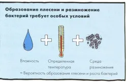 Як позбутися від чорної цвілі на стінах методи усунення (позбутися чорна цвіль стіна причини виникнення поява грибка) Як позбутися від чорної цвілі на стінах методи усунення
