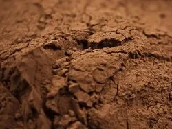 Як і скільки варити какао з какао-порошку на молоці, на воді (правильно) Як і скільки варити какао з какао-порошку на молоці, на воді