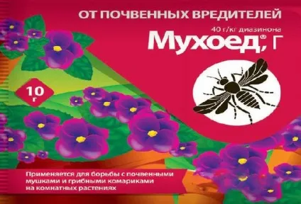 Як позбутися від мошок в кольорах - спеціальні і народні засоби (народні) Як позбутися від мошок в кольорах - спеціальні і народні засоби