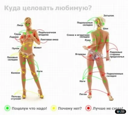 Які місця тіла можуть при троганья руки порушити дівчину