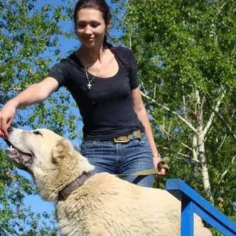 Як треба дресирувати собаку самостійно (дресирувати собаку самостійно) Як треба дресирувати собаку самостійно