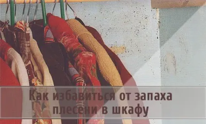 Як позбутися від запаху цвілі в шафі і подальша профілактика (позбутися запаху цвілі) Як позбутися від запаху цвілі в шафі і подальша профілактика