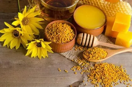 Як лікувати анемію в домашніх умовах