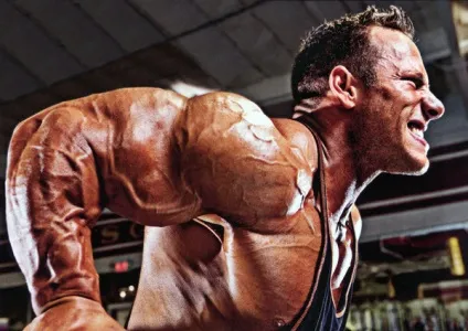 Як накачати трицепс найефективніші вправи для рельєфу, trainingbody (трицепс) Як накачати трицепс найефективніші вправи для рельєфу, trainingbody